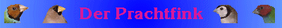 Der Prachtfink.de